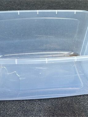 Clear Plastic Storage Tote - Stackable Bin